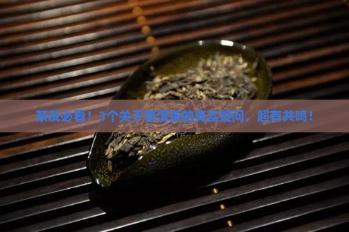 茶友必看！3个关于普洱茶的真实疑问，超有共鸣！