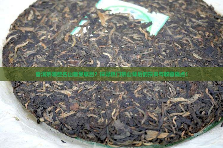 普洱茶哪些名山备受瞩目？探寻热门茶山背后的投资与收藏痛点！