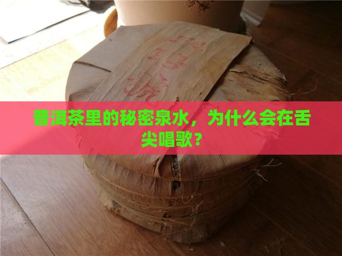 普洱茶里的秘密泉水，为什么会在舌尖唱歌？
