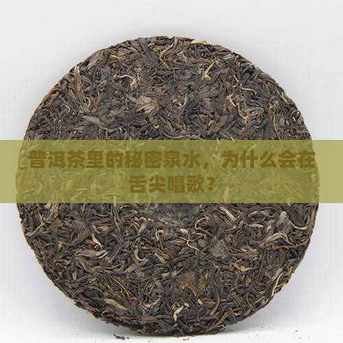 普洱茶里的秘密泉水，为什么会在舌尖唱歌？