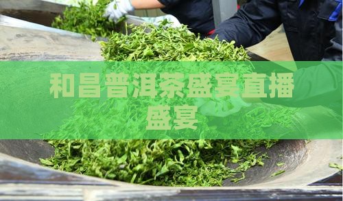 和昌普洱茶盛宴直播盛宴