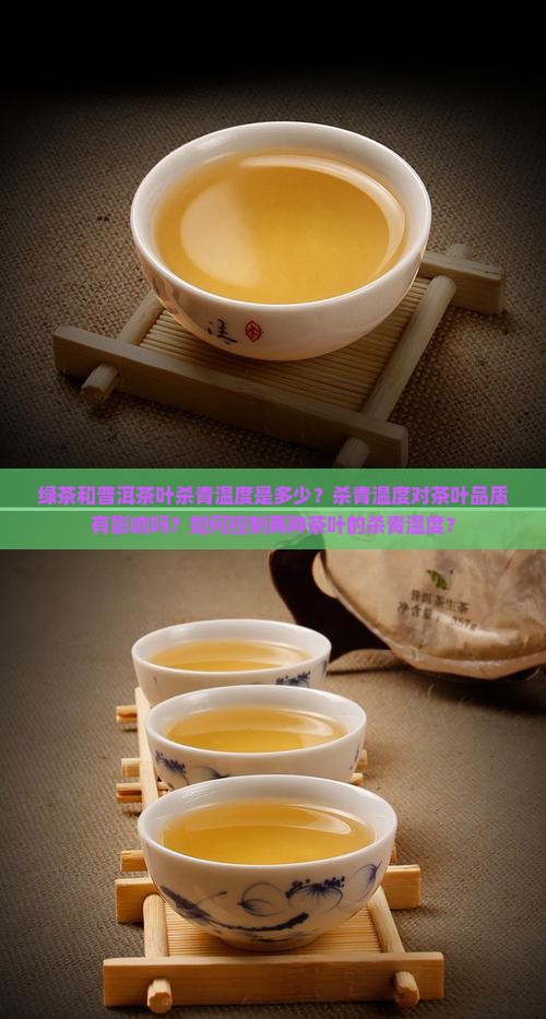 绿茶和普洱茶叶杀青温度是多少？杀青温度对茶叶品质有影响吗？如何控制两种茶叶的杀青温度？
