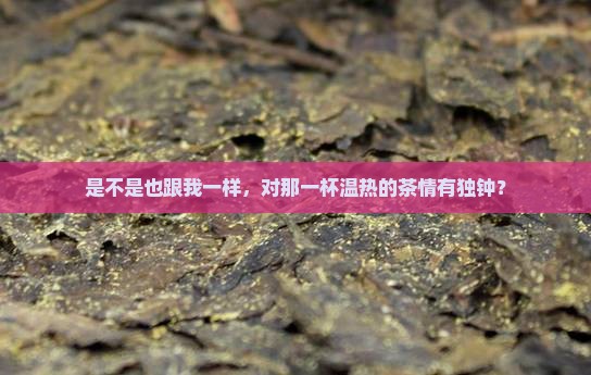 是不是也跟我一样，对那一杯温热的茶情有独钟？