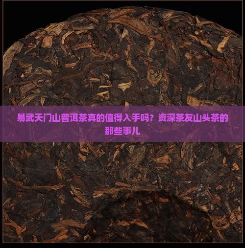 易武天门山普洱茶真的值得入手吗？资深茶友山头茶的那些事儿