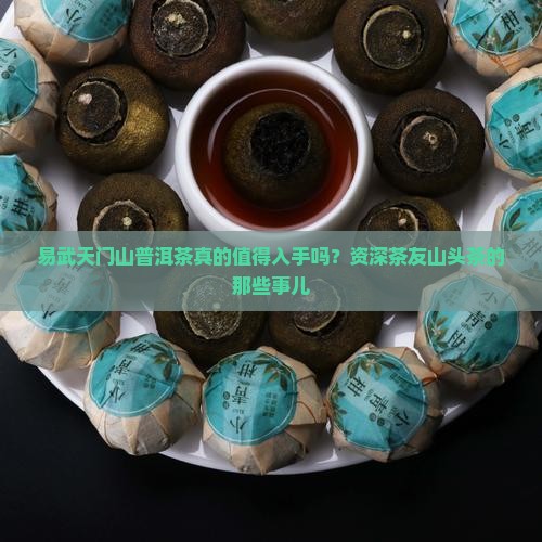 易武天门山普洱茶真的值得入手吗？资深茶友山头茶的那些事儿