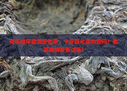 戎氏拾年普洱茶生茶，十年陈化实力如何？老茶发烧友看过来！