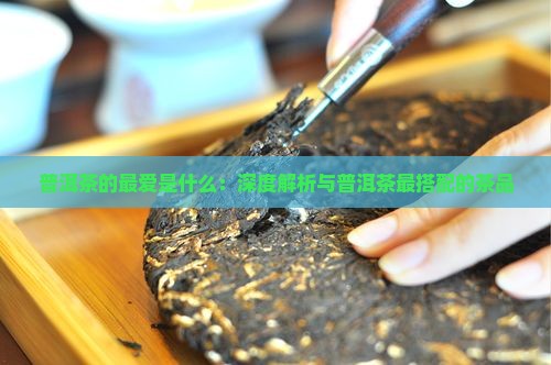 普洱茶的最爱是什么：深度解析与普洱茶最搭配的茶品