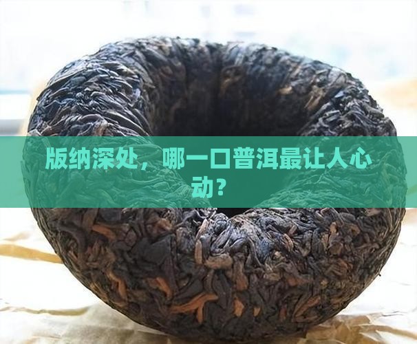 版纳深处，哪一口普洱最让人心动？