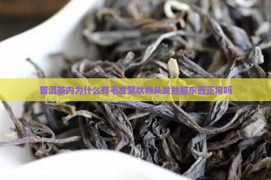 普洱茶内为什么有毛发絮状物头发丝脏东西正常吗