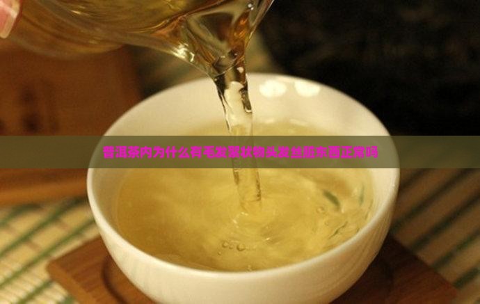 普洱茶内为什么有毛发絮状物头发丝脏东西正常吗