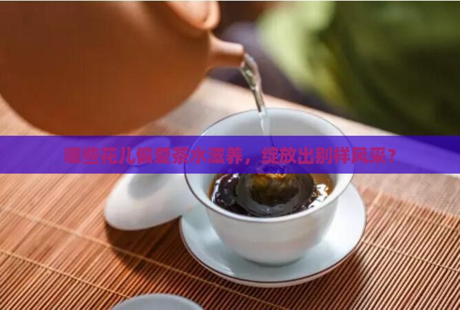 哪些花儿偏爱茶水滋养，绽放出别样风采？