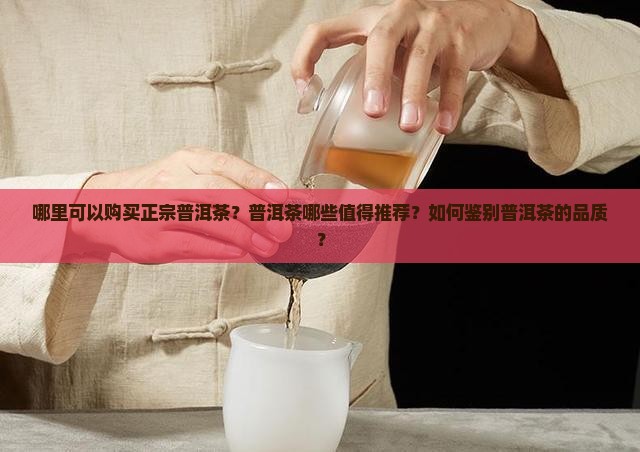 哪里可以购买正宗普洱茶？普洱茶哪些值得推荐？如何鉴别普洱茶的品质？