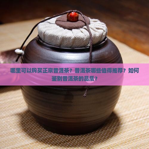 哪里可以购买正宗普洱茶？普洱茶哪些值得推荐？如何鉴别普洱茶的品质？