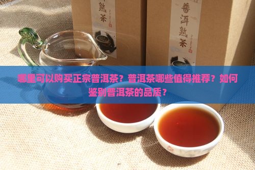 哪里可以购买正宗普洱茶？普洱茶哪些值得推荐？如何鉴别普洱茶的品质？
