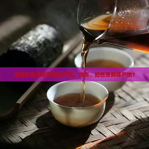 福建的普洱茶有哪些产区、特点、知名及具体产地？