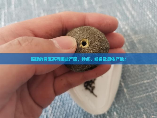 福建的普洱茶有哪些产区、特点、知名及具体产地？