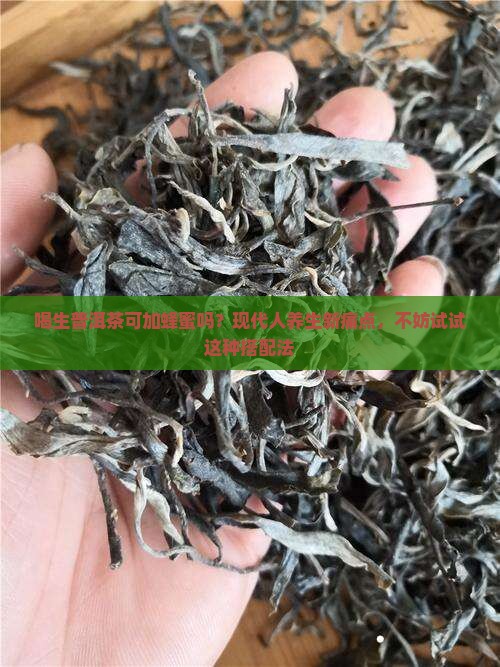 喝生普洱茶可加蜂蜜吗？现代人养生新痛点，不妨试试这种搭配法