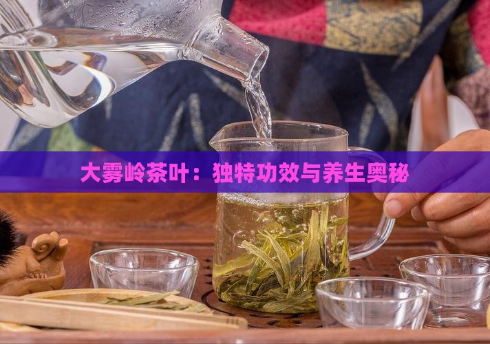 大雾岭茶叶：独特功效与养生奥秘