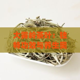 大雾岭茶叶：独特功效与养生奥秘