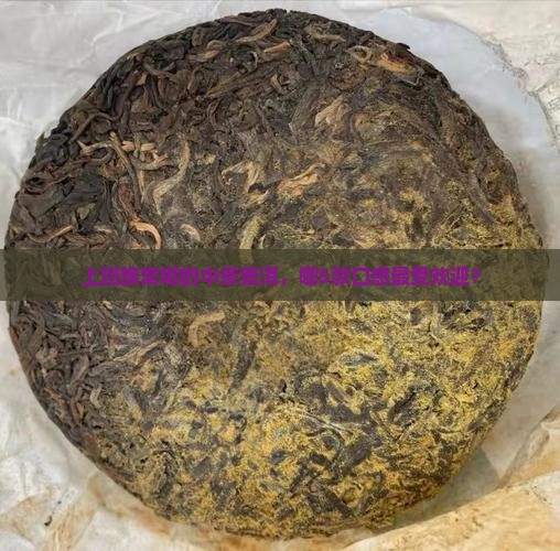 上班族常喝的中茶普洱，哪5款口感最受欢迎？