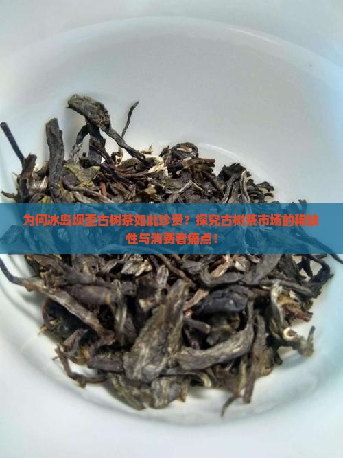为何冰岛坝歪古树茶如此珍贵？探究古树茶市场的稀缺性与消费者痛点！