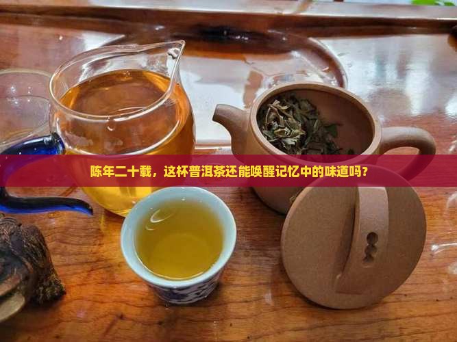 陈年二十载，这杯普洱茶还能唤醒记忆中的味道吗？