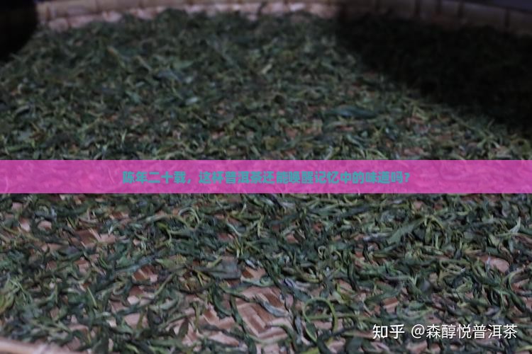 陈年二十载，这杯普洱茶还能唤醒记忆中的味道吗？