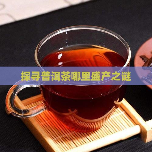 探寻普洱茶哪里盛产之谜