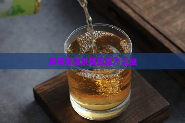 探寻普洱茶哪里盛产之谜