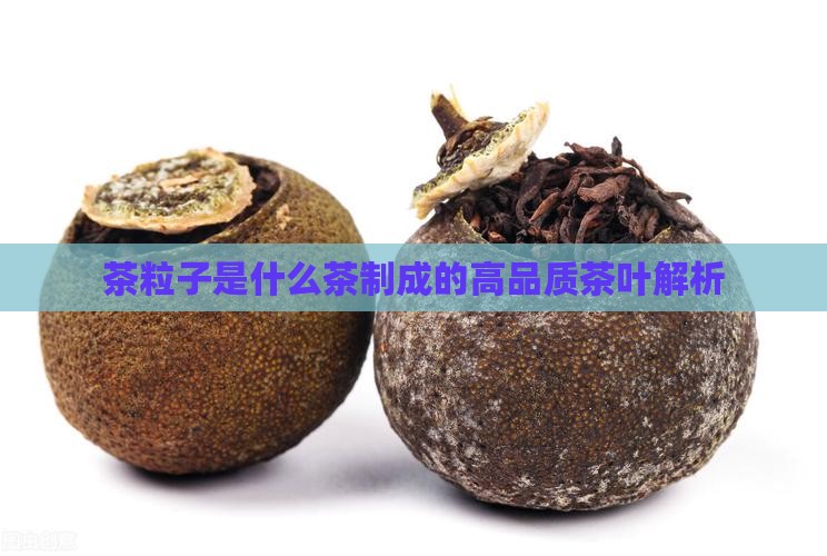 茶粒子是什么茶制成的高品质茶叶解析