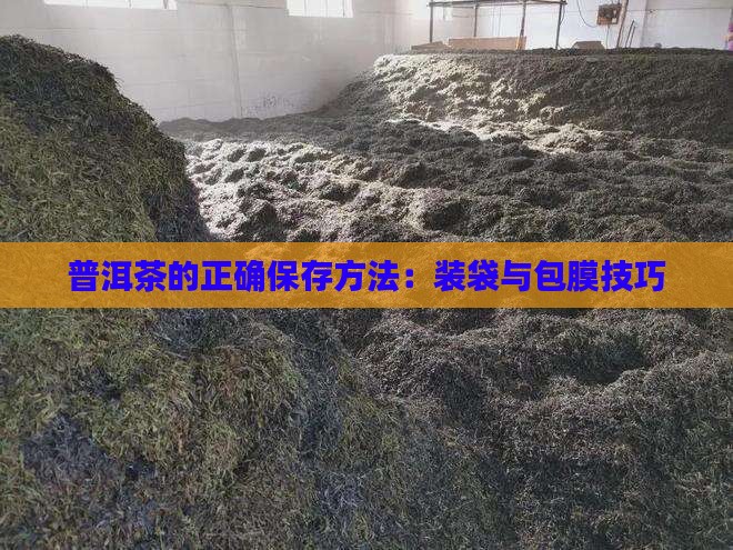 普洱茶的正确保存方法：装袋与包膜技巧