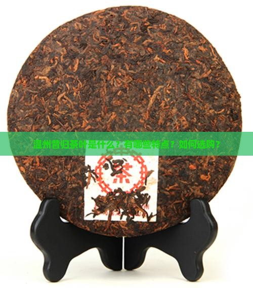 温州昔归茶叶是什么？有哪些特点？如何选购？
