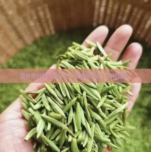 温州昔归茶叶是什么？有哪些特点？如何选购？
