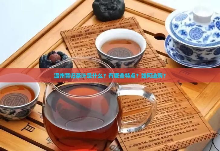 温州昔归茶叶是什么？有哪些特点？如何选购？