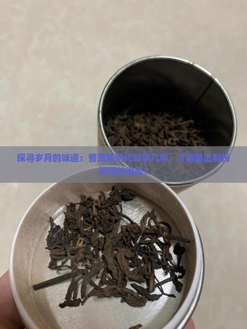 探寻岁月的味道：普洱茶熟化到第几年，才能品出那份醇厚的温柔？