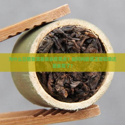 为什么日晒普洱茶底会有黑点？如何判断是正常现象还是发霉了？