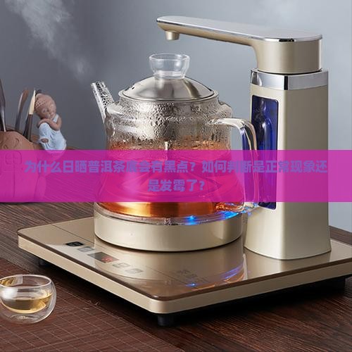 为什么日晒普洱茶底会有黑点？如何判断是正常现象还是发霉了？