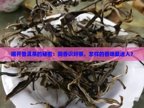 揭开普洱茶的秘密：闻香识好茶，怎样的香味最迷人？