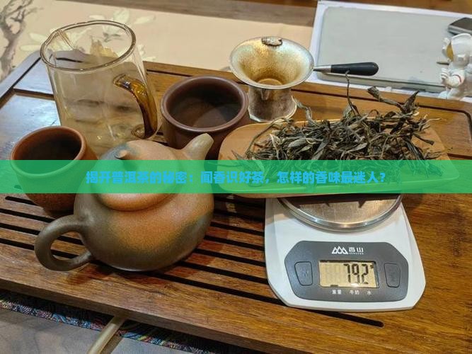 揭开普洱茶的秘密：闻香识好茶，怎样的香味最迷人？