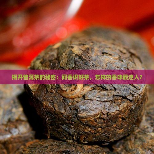 揭开普洱茶的秘密：闻香识好茶，怎样的香味最迷人？
