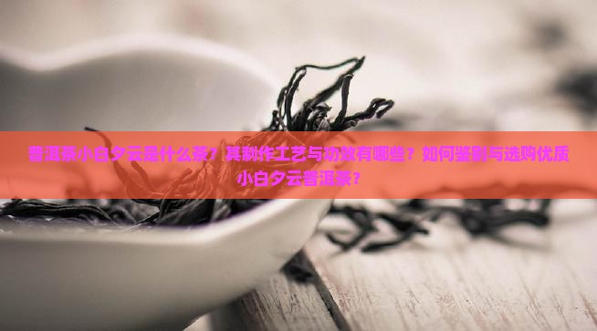 普洱茶小白夕云是什么茶？其制作工艺与功效有哪些？如何鉴别与选购优质小白夕云普洱茶？