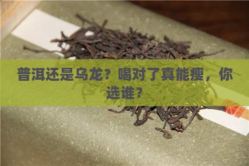 普洱还是乌龙？喝对了真能瘦，你选谁？