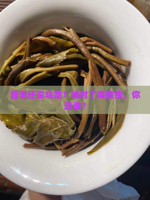 普洱还是乌龙？喝对了真能瘦，你选谁？
