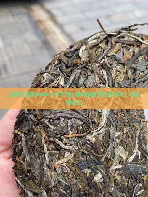 勐海普洱茶2006？存了那么多年的老茶还能喝吗？稀缺老茶王