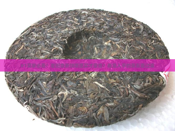 #1买家必看！老班章茶饼哪里买才靠谱？着急入手的茶友看过来