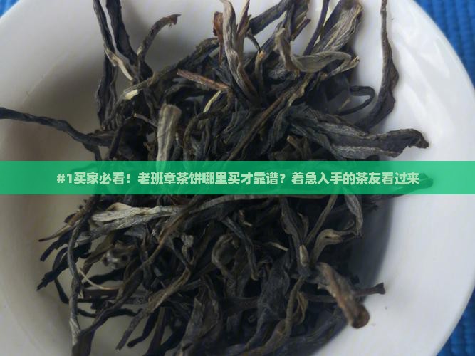 #1买家必看！老班章茶饼哪里买才靠谱？着急入手的茶友看过来