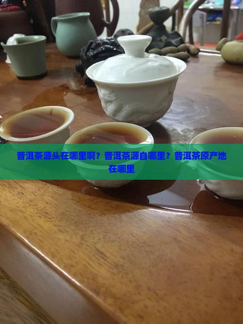普洱茶源头在哪里啊？普洱茶源自哪里？普洱茶原产地在哪里