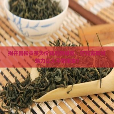 揭开曼松贡茶天价背后的秘密，它究竟有何魅力让人不惜重金？