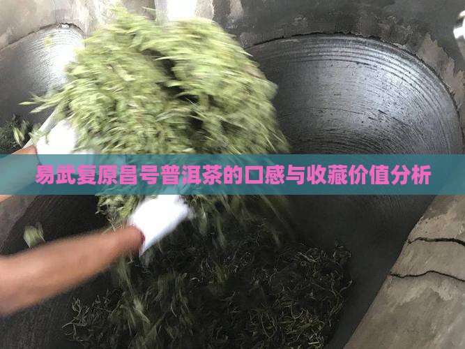 易武复原昌号普洱茶的口感与收藏价值分析