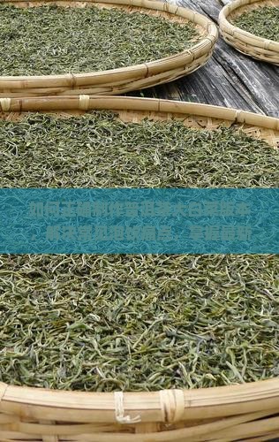 如何正确制作普洱茶大白菜版本，解决常见泡饮痛点，掌握最新茶艺热词？